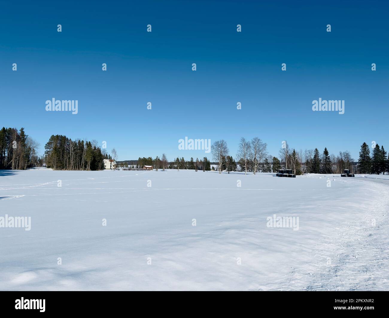 Winterlandschaft Nordschweden Stockfoto