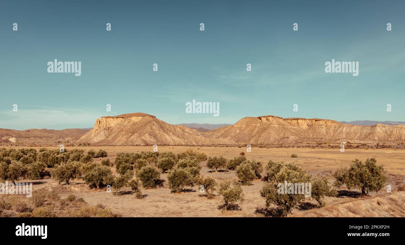 Naturlandschaft in der Tabernas-Wüste in Almeria Stockfoto