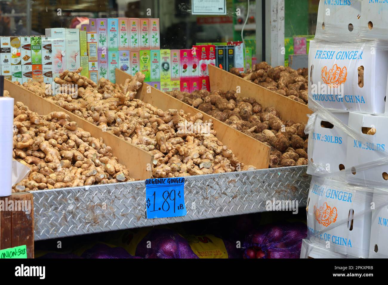 Frischer Ingwer (Zingiber officinale), der mit „Bio“, aber ohne Zertifizierung gekennzeichnet ist, auf einem südasiatischen Indo-Pak-Markt in Jackson Heights, New York. Stockfoto