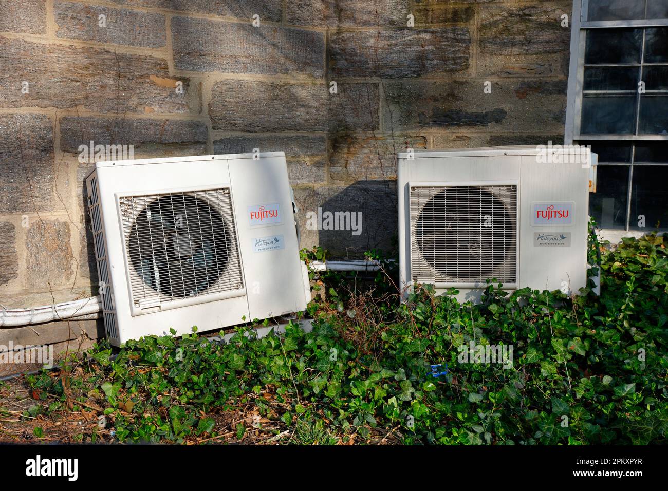 Fujitsu Halcyon Inverter Wärmepumpen an der Seite eines Steingebäudes in einem Feld aus englischem Efeu. Klimaanlagen mit geteilter Einheit. Stockfoto