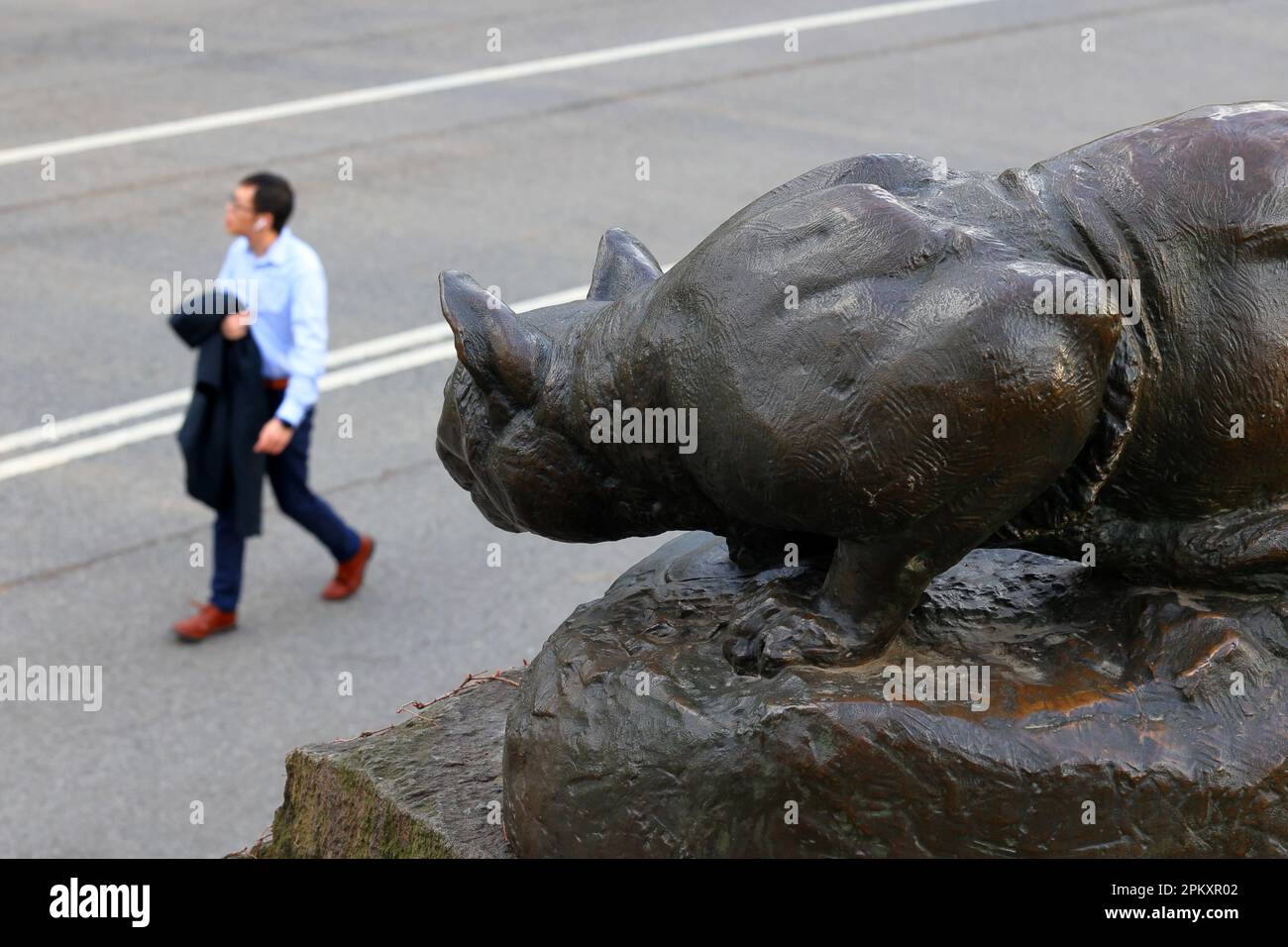 Eine Statue eines krummenden Panthers, neben einem Büroangestellten. Die Skulptur „Still Hunt“ von Edward Kemeys befindet sich im Central Park, New York City Stockfoto