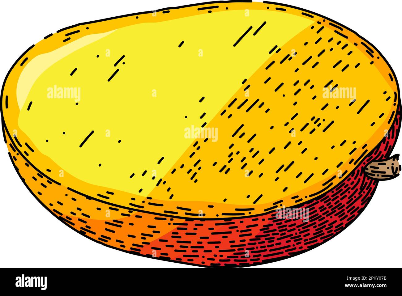 Mango-Frucht-Skizze handgezeichneter Vektor Stock Vektor