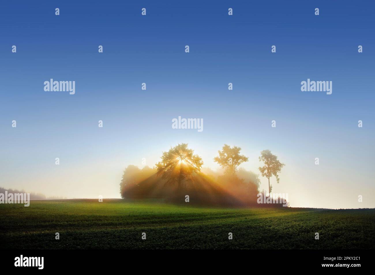 Sonnenstrahlen im Morgennebel, Schwäbische Alb, Baden-Württemberg, Deutschland Stockfoto