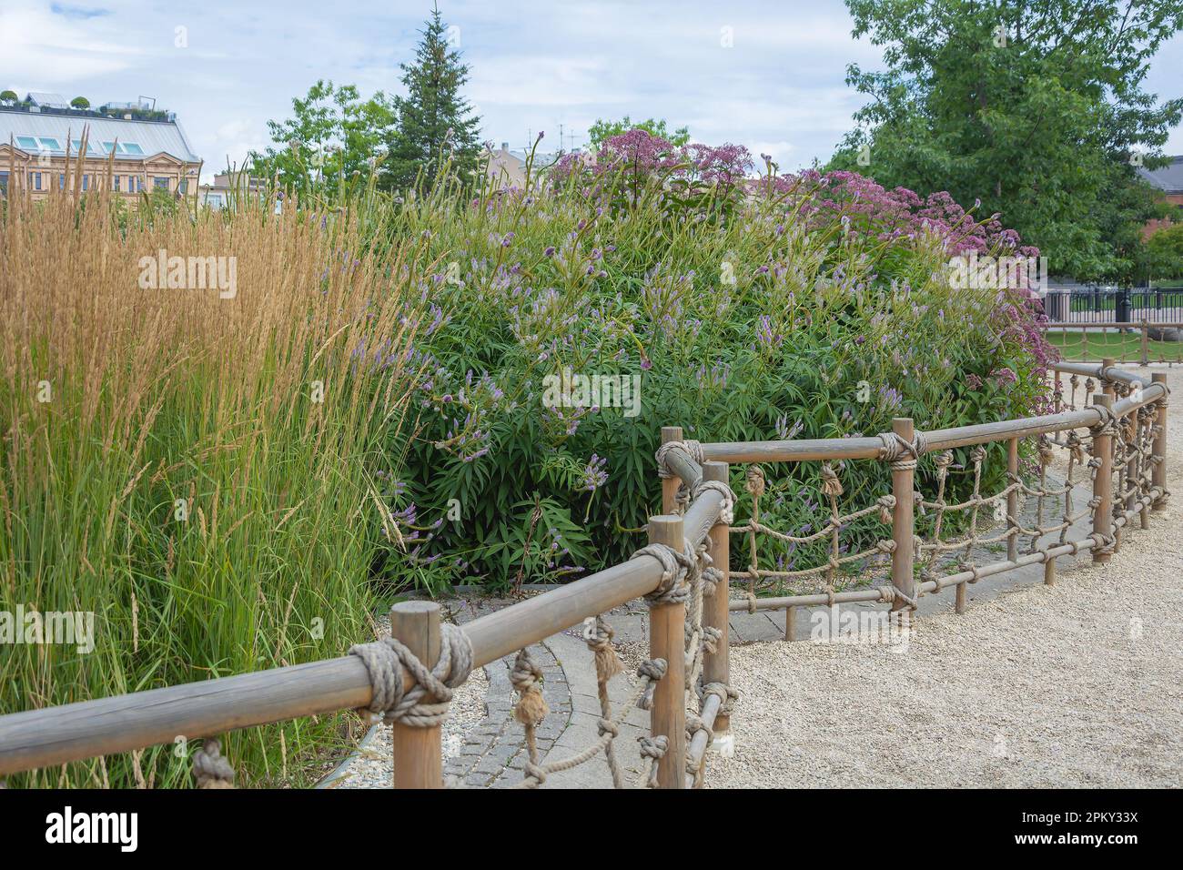 Dekorative Zäune in der Nähe von modischen Ziergräsern in einem gepflegten Garten Stockfoto