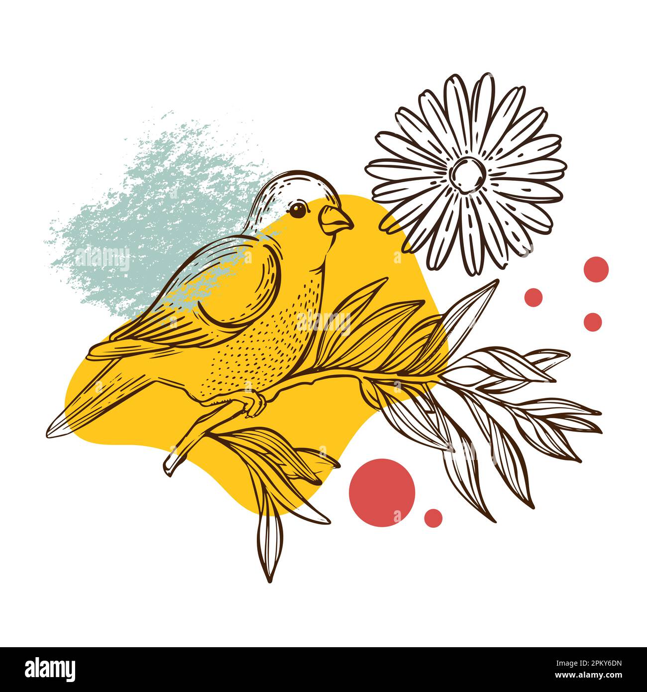 „WARBLER ON FLOWER Natural Collage Sketched Bird“ Poster Design Botanical Illustration Geometrische Formen Abstrakte Elemente für Print Wall Art Verpackung T Stock Vektor