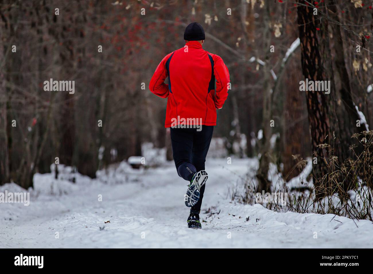 Hinten männlicher Läufer beim Laufen, Mann beim Joggen im verschneiten Wald bei kaltem Wetter Stockfoto