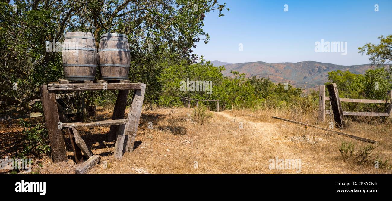 Matetic Weinberg in El Rosario Valley, Chile. Stockfoto