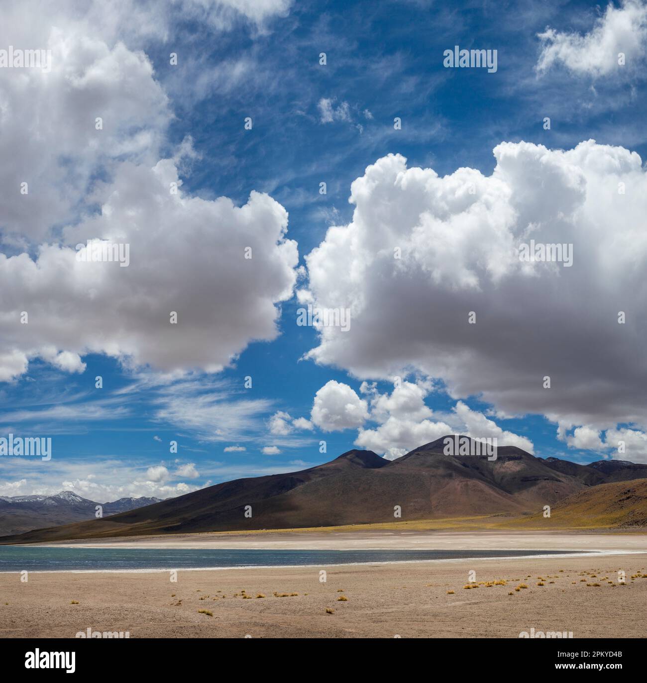 Die Landschaft von Miscanti Lake, Atacama Desert, Chile. Stockfoto