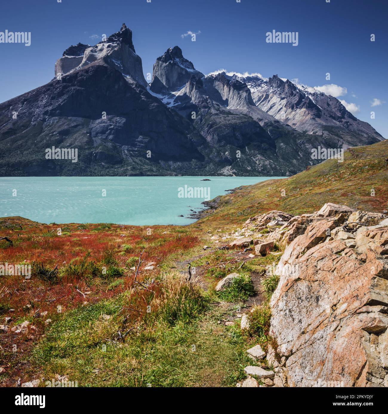 Nordenskjold-See mit den Gipfeln des Torres del Paine im Hintergrund, Patagonien, Chile. Stockfoto