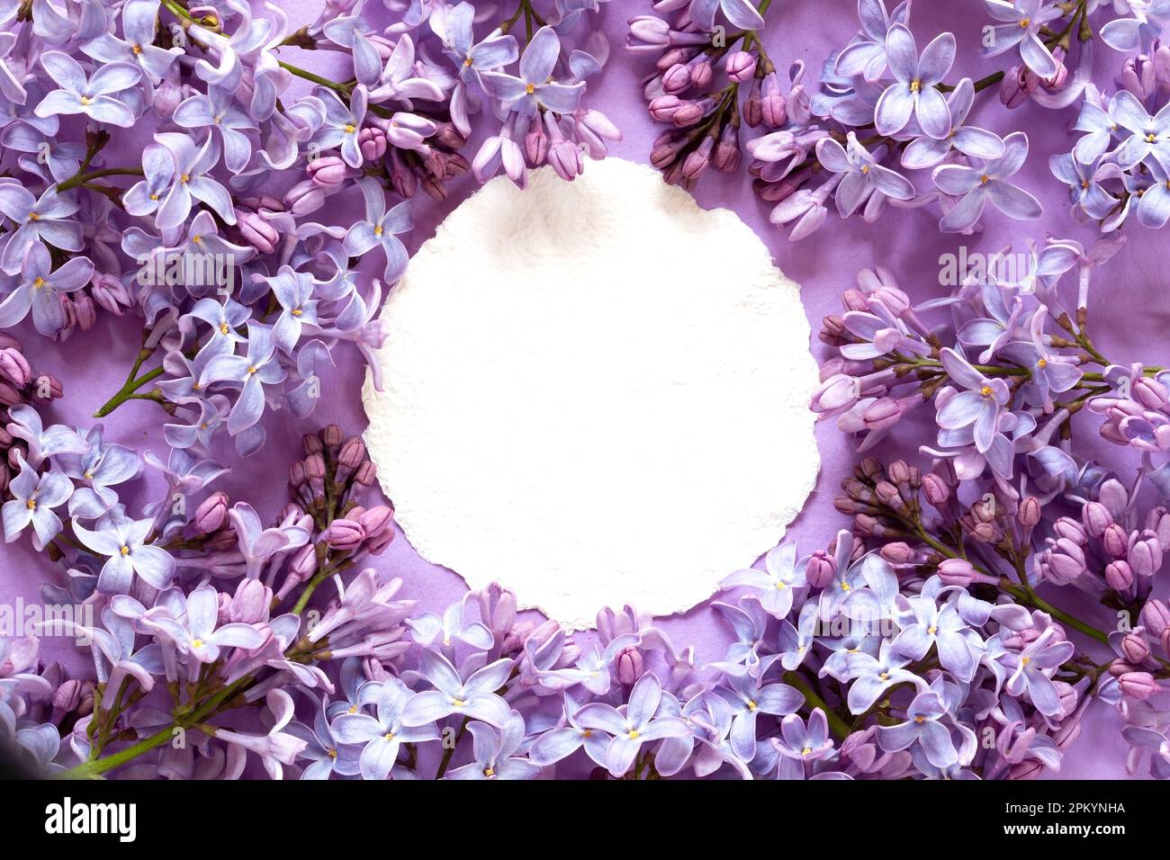 Frühlingsblumen mit einer Craft Paper blanck Note Stockfoto