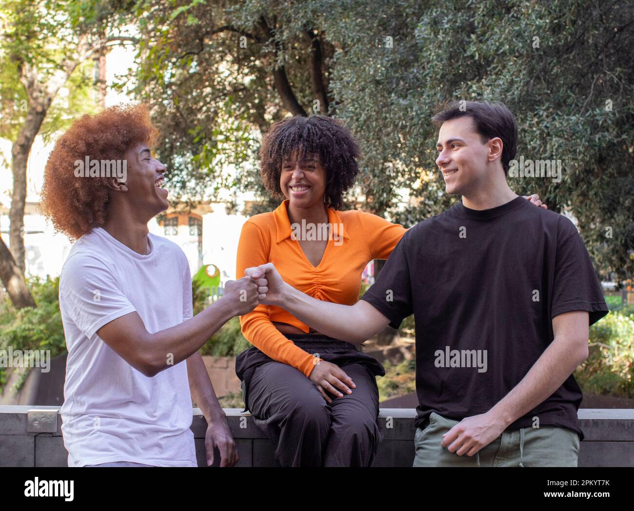 Positive multirassische männliche Freunde stehen und grüßen mit der Faust vor einer lächelnden schwarzen Frau, die auf der Parkmauer sitzt und sich anschaut Stockfoto