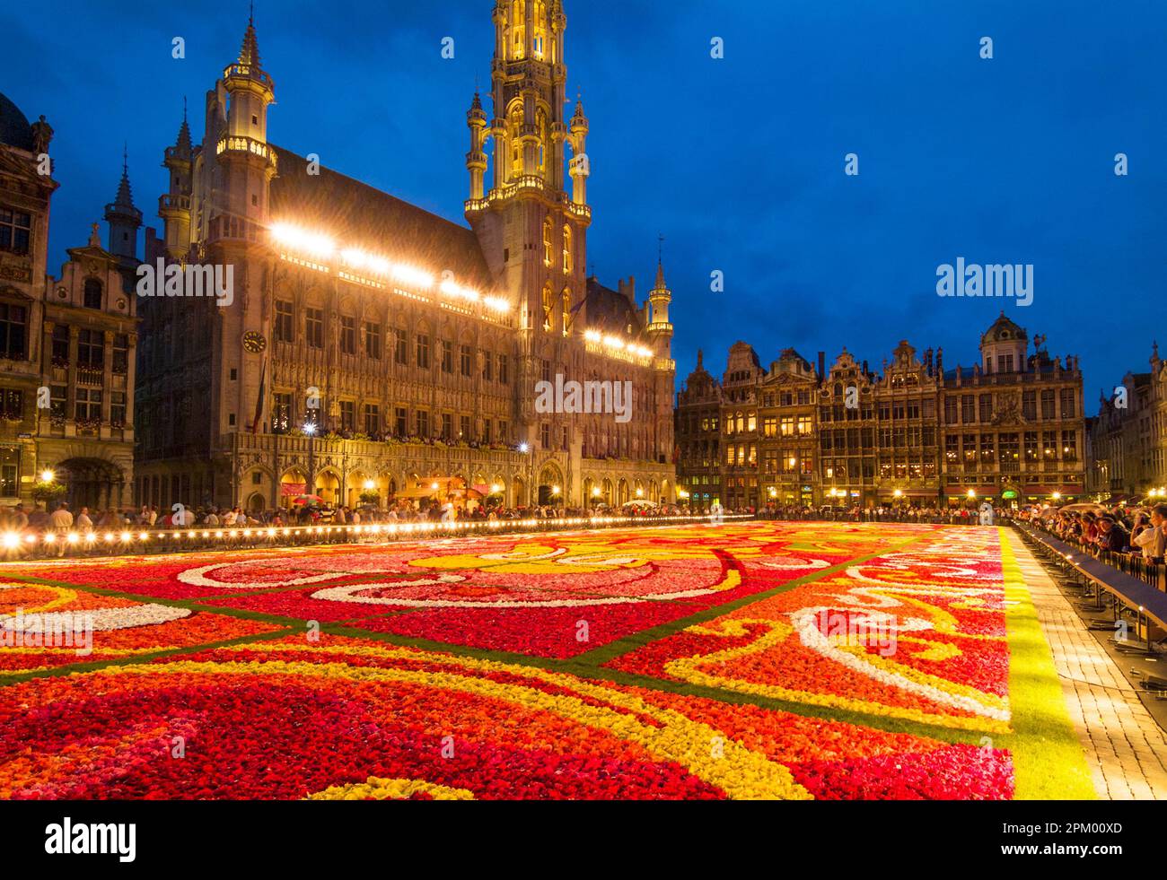Brüssel Grand Place Brüssel Blumenteppich bei Nacht beleuchtet auf dem Grand Place Brüssel Belgien EU Europe Stockfoto