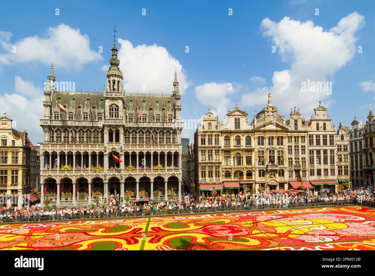 Brüssel Grand Place Brüssel mit dem Blumenteppich Art-Deco-Thema Brüssel Belgien Europa Stockfoto