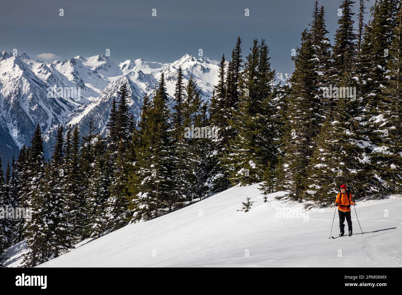 WA23295-00...WASHINGTON - Langlauffahrer, die den Aussichtspunkt entlang der Straße zum Hurricane Hill Trail oin Olympic National Park erkunden. Stockfoto