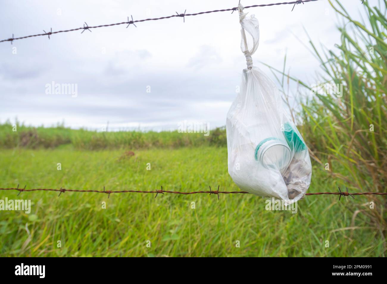 Tüte mit Müll in einen Zaun gebunden mit Vegetation im Hintergrund an einem bewölkten Tag, Konzept der Umweltverschmutzung der Natur. Stockfoto