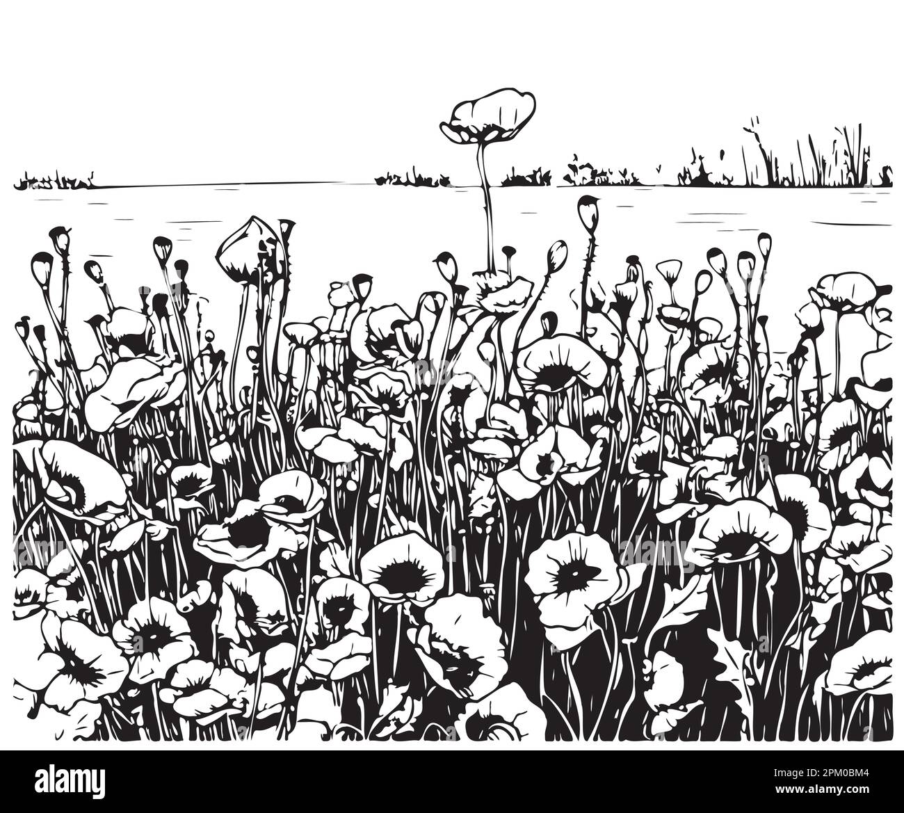 Poppy-Feld-Skizze von Hand gezeichnet in Doodle-Style-Illustration Stock Vektor