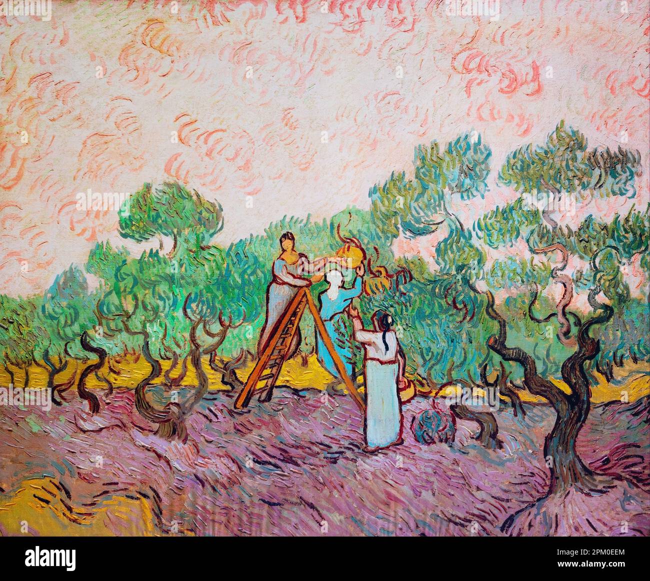 Frauen pflücken Oliven, Vincent Van Gogh malt. Stockfoto