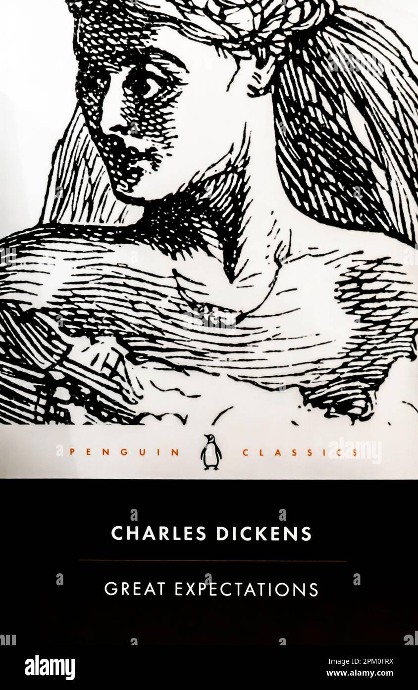 Ein Roman mit großen Erwartungen von Charles Dickens 1861 Stockfoto