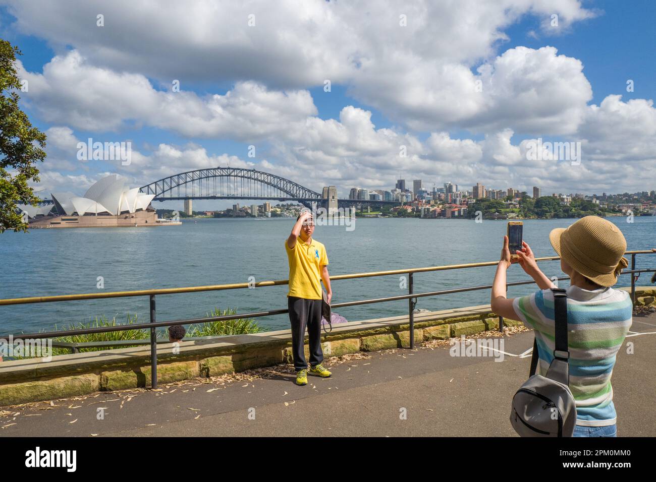 Das Opernhaus und die Hafenbrücke aus Sicht von Mrs. Macquaries Point in Sydney. Dies sind zwei der bekanntesten Bauwerke von Sydney, NSW, Australien. Stockfoto