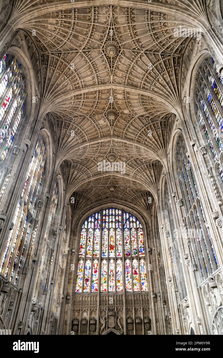 Buntglasfenster und Ventilatordecke der King's College Chapel an der Cambridge University, Cambridge, Großbritannien Stockfoto