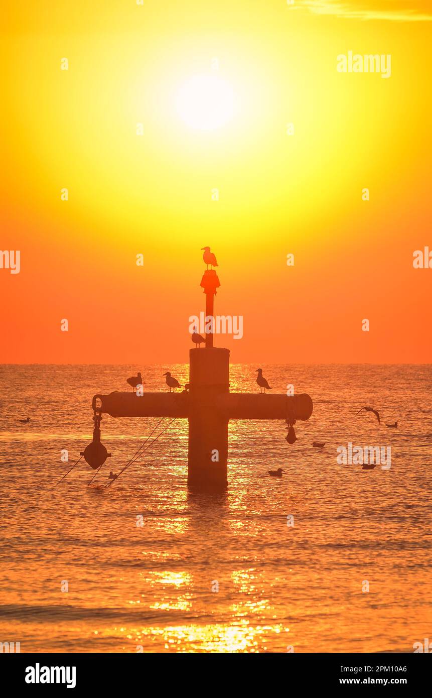 Sommermorgen Küstenlandschaft. Sonne und Vögel über der Ostsee. Foto am Strand in Gdynia, Polen. Stockfoto