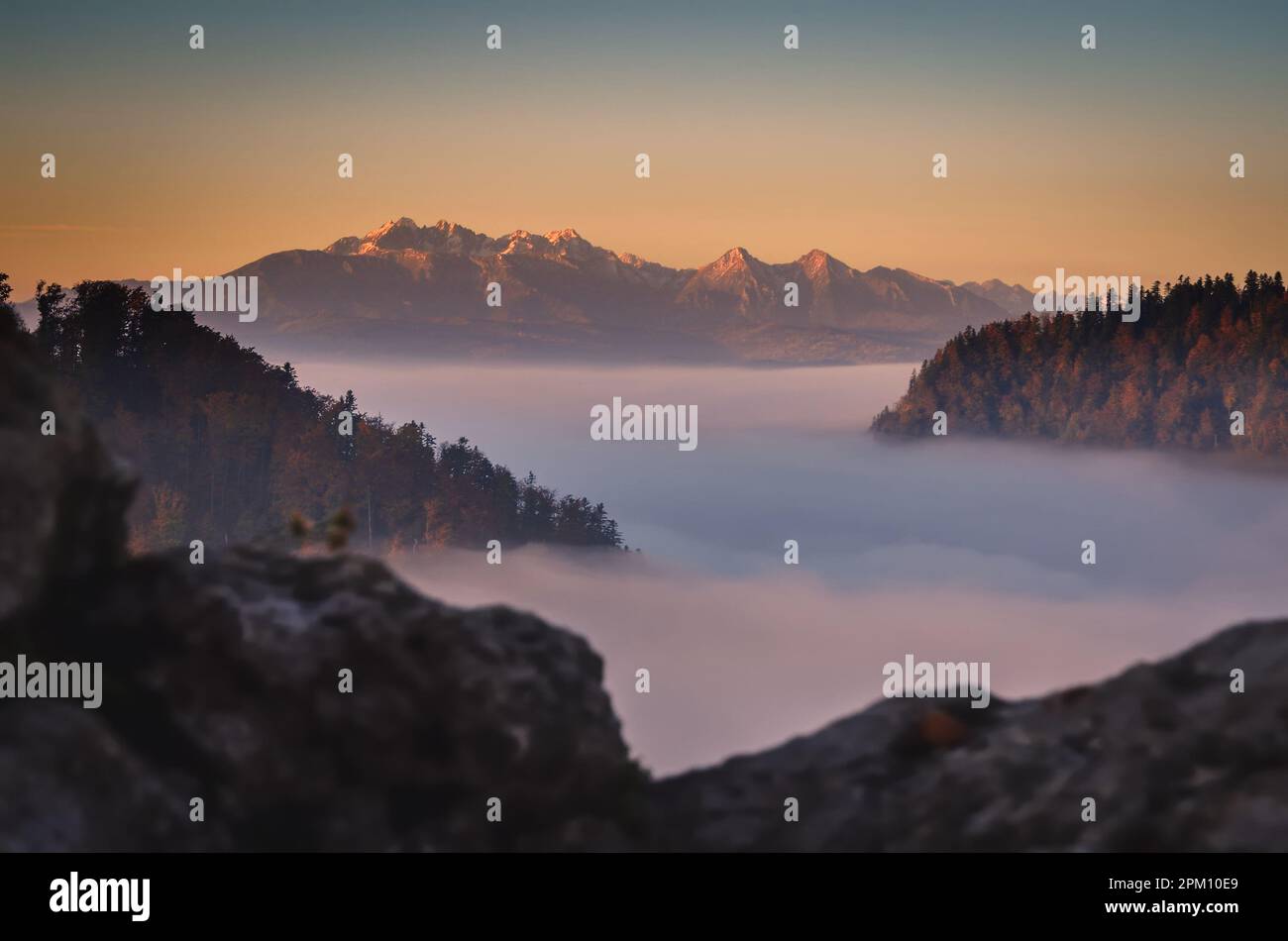 Fabelhafte farbenfrohe Herbstlandschaft. Magischer Morgen in den polnischen Bergen. Foto auf dem Gipfel der Sokolica in Pieniny, Polen. Stockfoto