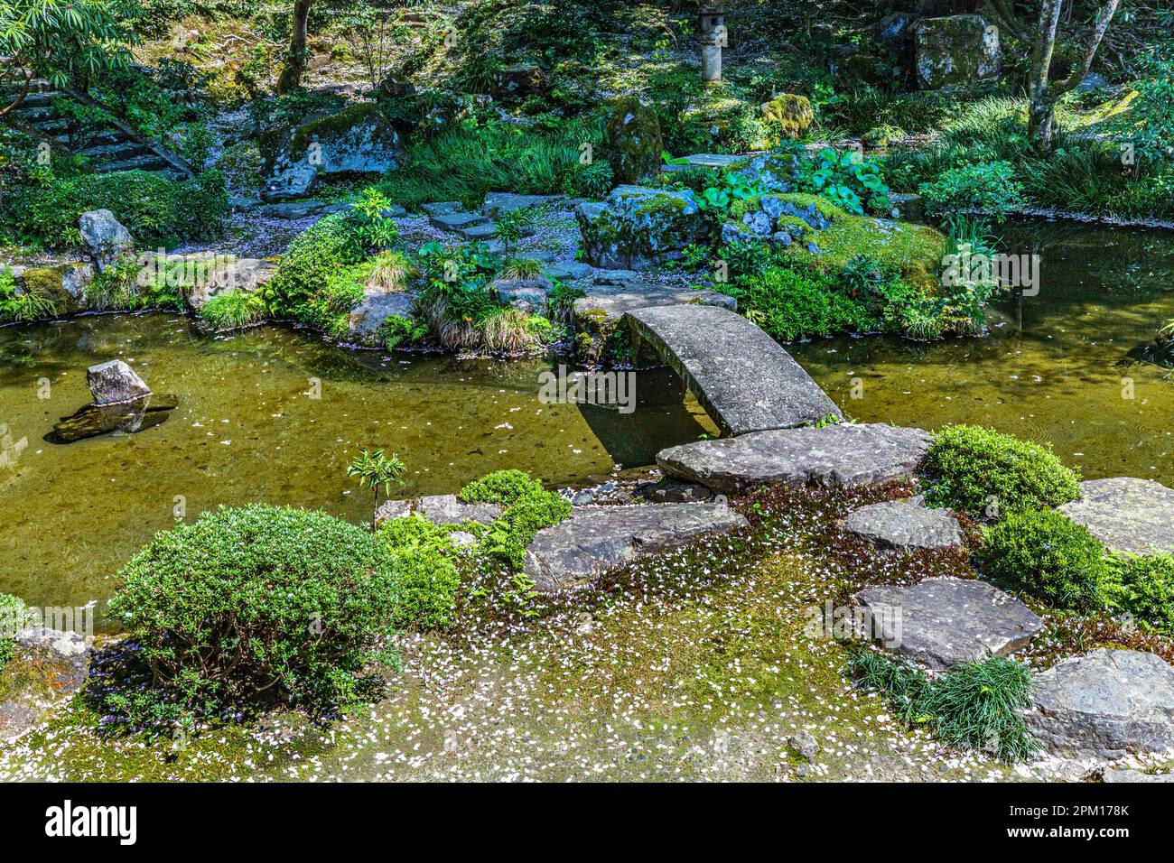 Honen-in wurde 1680 gegründet, um Honen, dem Gründer der Jodo-Sekte, zu ehren. Der Tempel ist wegen seiner Kirschblüten besonders im April einen Besuch wert Stockfoto