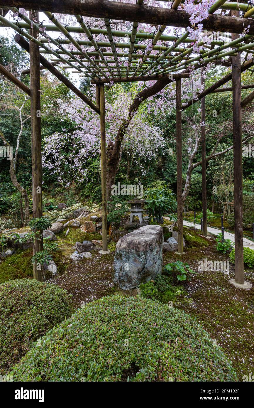 Ichijoden Shinzenkoji ist ein Subtempel des Familientempels der Kaiserfamilie Sennyu-ji, auch Mitera genannt. Fünf Gebäude: Haupthalle, Rezeption Stockfoto