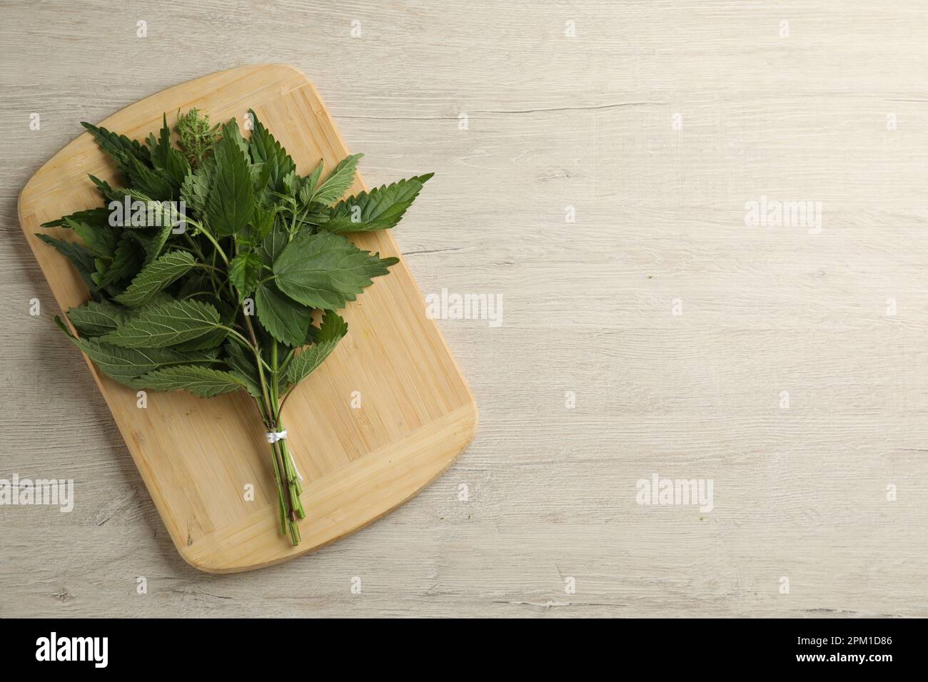 Frische Brennnesseln auf weißem Holztisch, Draufsicht. Platz für Text Stockfoto