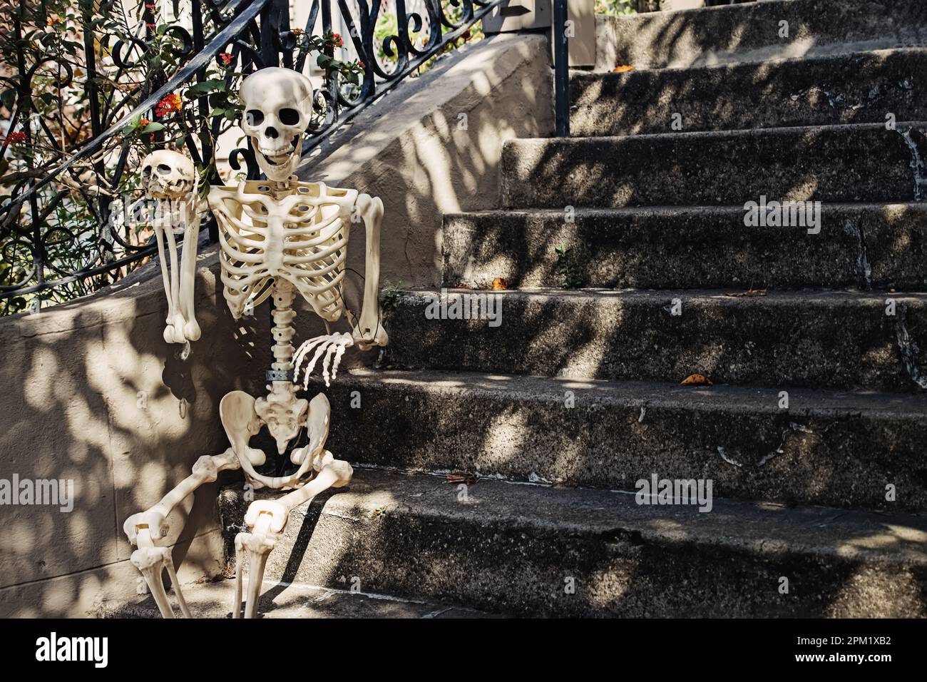 Skelett auf der Treppe, gruseliges Halloween-Dekor für Haus Stockfoto