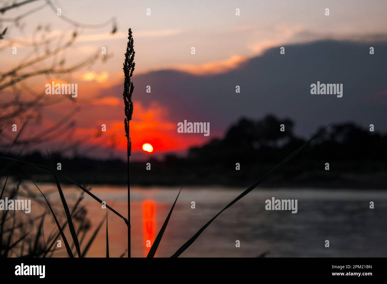 Sonnenuntergang im Kruger National Park Stockfoto