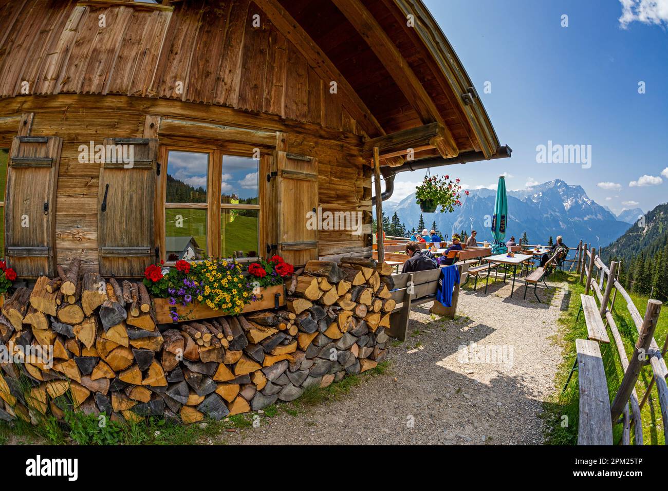 Stepberg Alm, Ammergauer Alpen, hinten Zugspitze, Bayerische Alpen, Bayern, Deutschland Stockfoto
