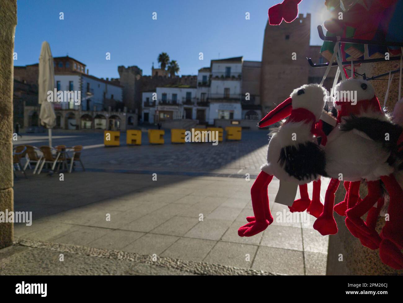 Weiße Stoffstorche in der Nähe der Plaza Mayor of Caceres, Extremadura, Spanien. Weißstorch ist der repräsentativste und ikonischste Vogel der Extremadura Stockfoto