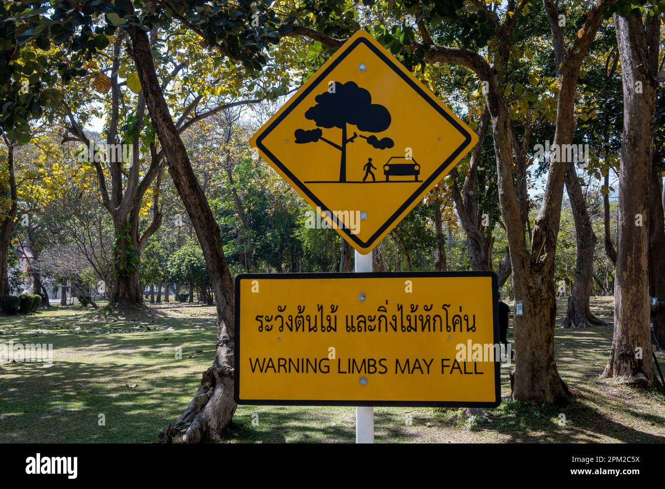 Ein Straßenschild warnt vor fallenden Ästen von Bäumen. Chiang Mai, Thailand. Stockfoto