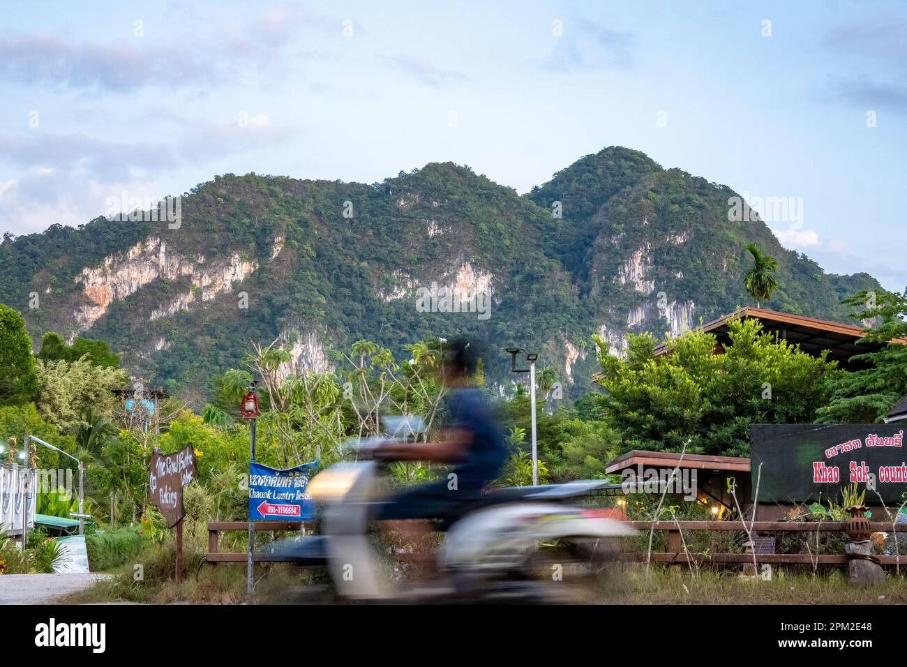 Ein Motorrad fährt an der Straße vorbei, mit Kalksteinklippen im Hintergrund des Khao Sok Nationalparks. Surat Thani, Thailand. Stockfoto