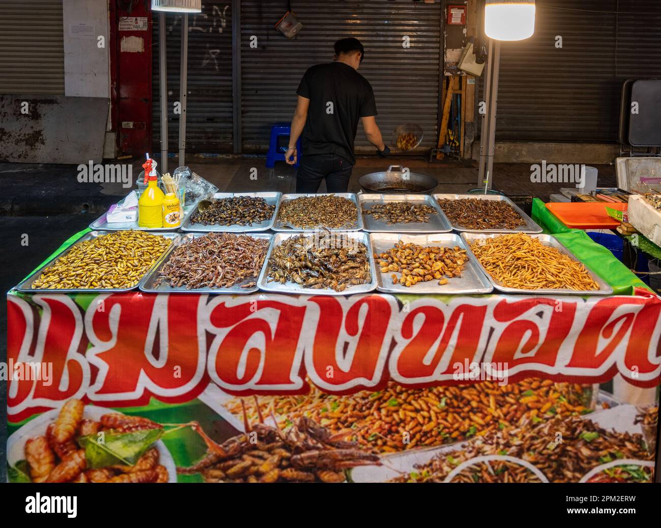 Auf einem Straßenmarkt in der Innenstadt von Bangkok, Thailand, werden verschiedene Insekten zum Essen serviert. Stockfoto