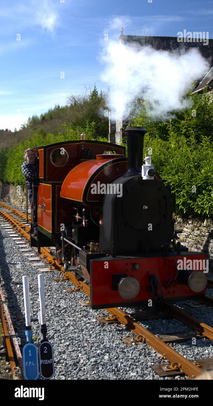 Corris Railway, Corris Gwynedd WALES Stockfoto