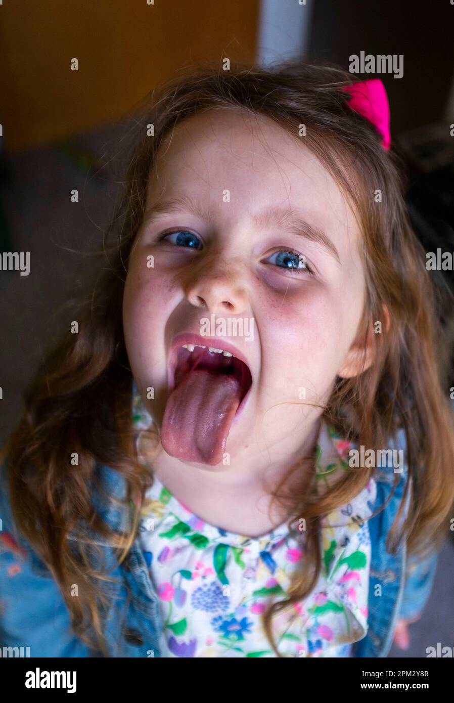 Ein 6-jähriges Mädchen, das frech aussieht und die Zunge aus der Kamera steckt Stockfoto