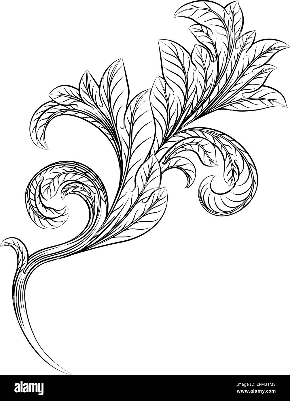 Filigranes Barockes Blumendesign Mit Heraldry-Motiv Stock Vektor