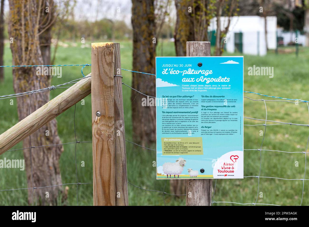 Toulouse, Frankreich. 11. April 2023. Treffen mit Herrn Guerbati Nourdine, Schäfer aus Ardèche, ursprünglich aus El Menian, jetzt El-Golea, vor den Toren der Sahara-Wüste, angestellt bei Ecozone, einem Unternehmen, das sich seit 2007 auf städtische Öko-Weidewirtschaft spezialisiert hat und heute an so unterschiedlichen Standorten wie Parks, Universitäten, Industriebraden, Eisenbahnstrecken usw. präsent ist Öko-Weideland in den Argoulets bis Juni 30. Wie jedes Jahr seit 2017 baut das Rathaus von Toulouse die Öko-Weide auf, um die Grünfläche der Argoulets zu erhalten. Frankreich, Toulouse am 11. April 2023. Kredit: Abaca Press/Alamy Live News Stockfoto