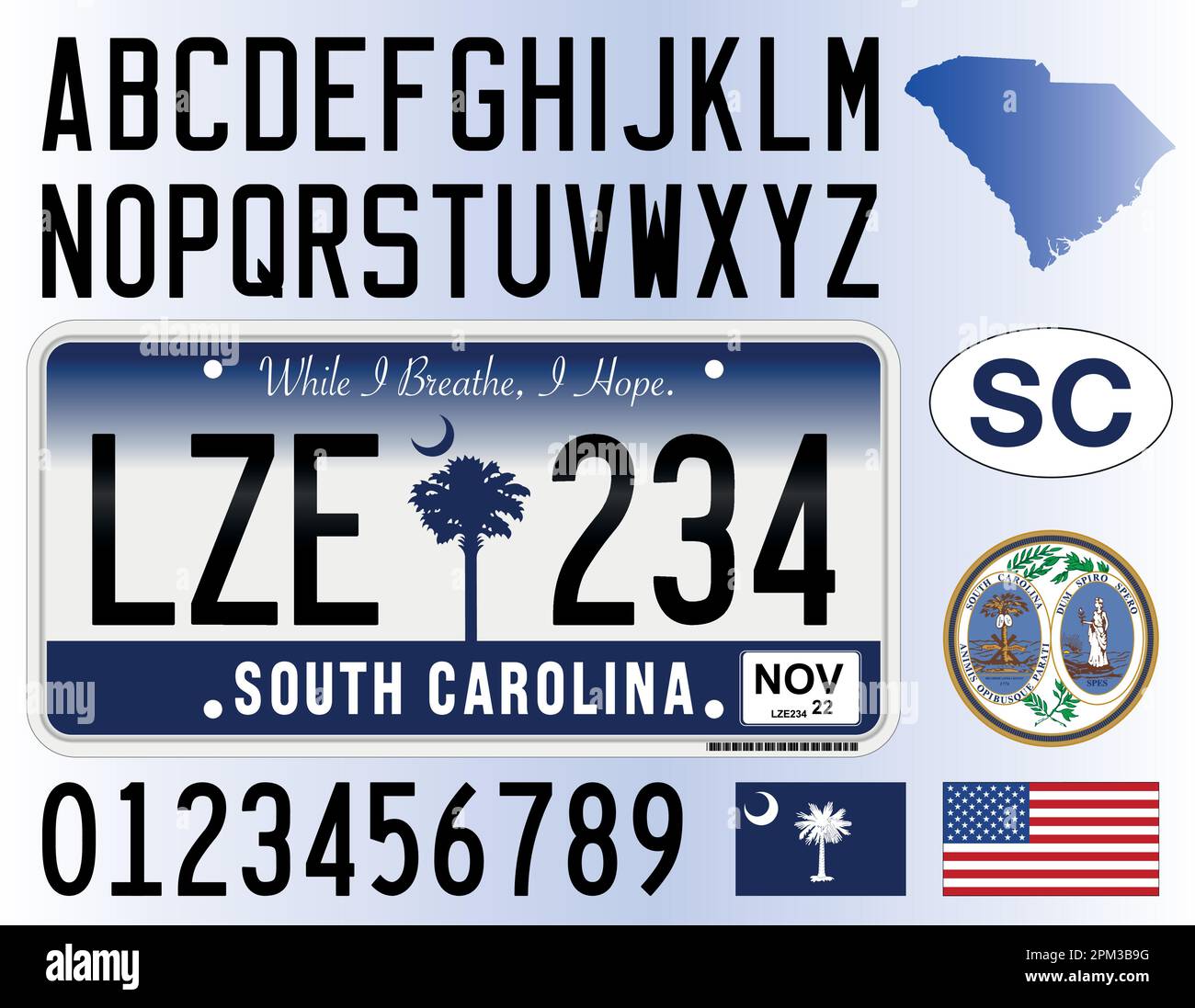South Carolina Autokennzeichen im neuen Stil 2016, Buchstaben, Zahlen und Symbole, Vektorbild, USA Stock Vektor