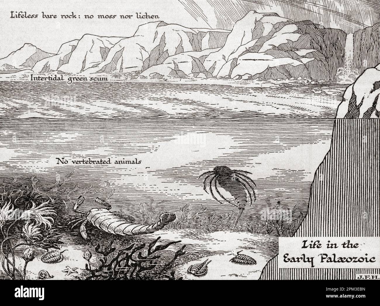Das Leben im frühen paleozoischen oder paläozoischen Zeitalter. Aus dem Buch Outline of History von H.G. Wells, veröffentlicht 1920. Stockfoto