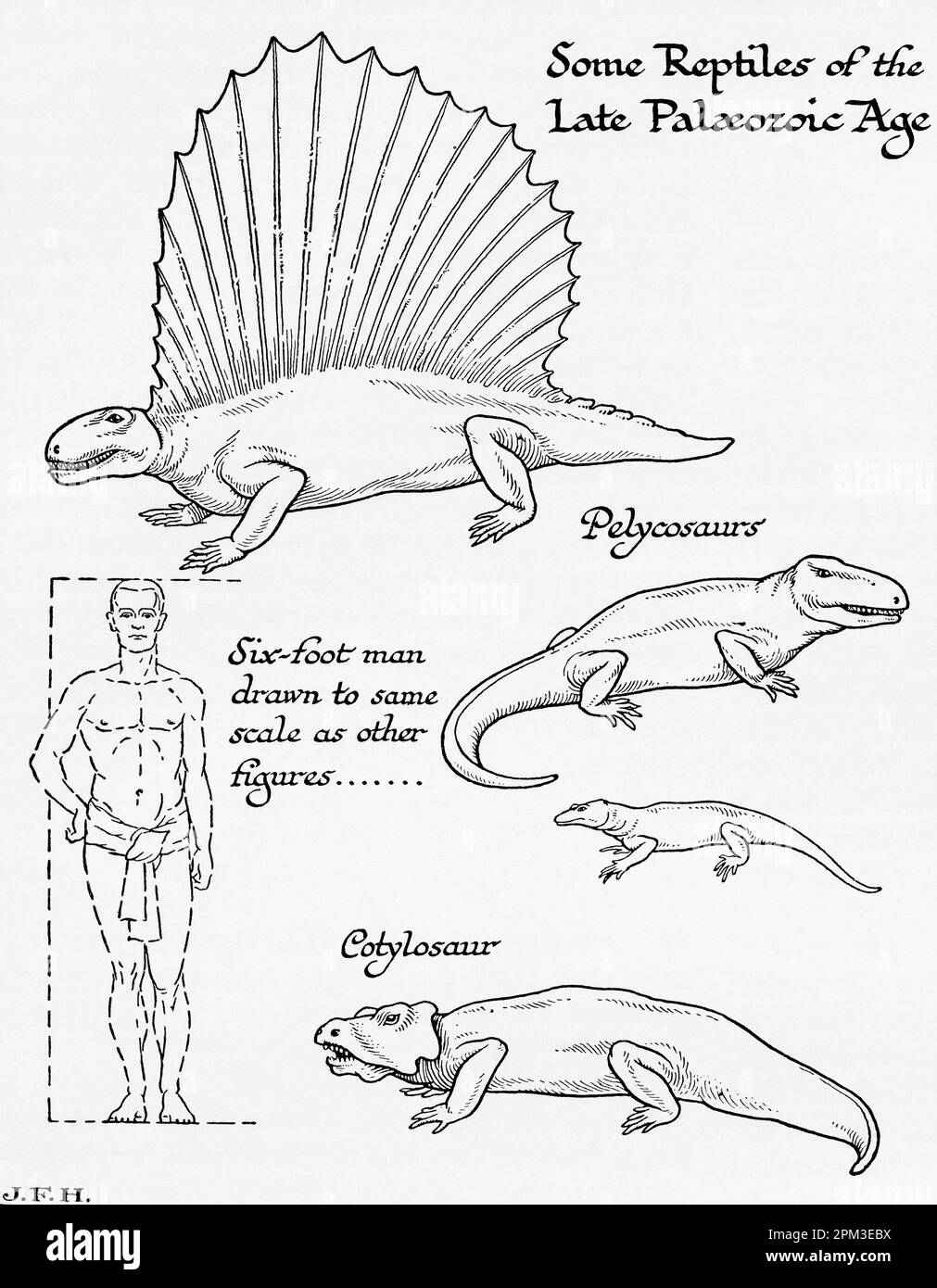 Einige Reptilien der späten paläozoischen oder paläozoischen Ära. In der Abbildung ist ein 1,80 m großer Mann dargestellt, der auf die gleiche Skala wie andere Figuren gezeichnet ist. Aus dem Buch Outline of History von H.G. Wells, veröffentlicht 1920. Stockfoto