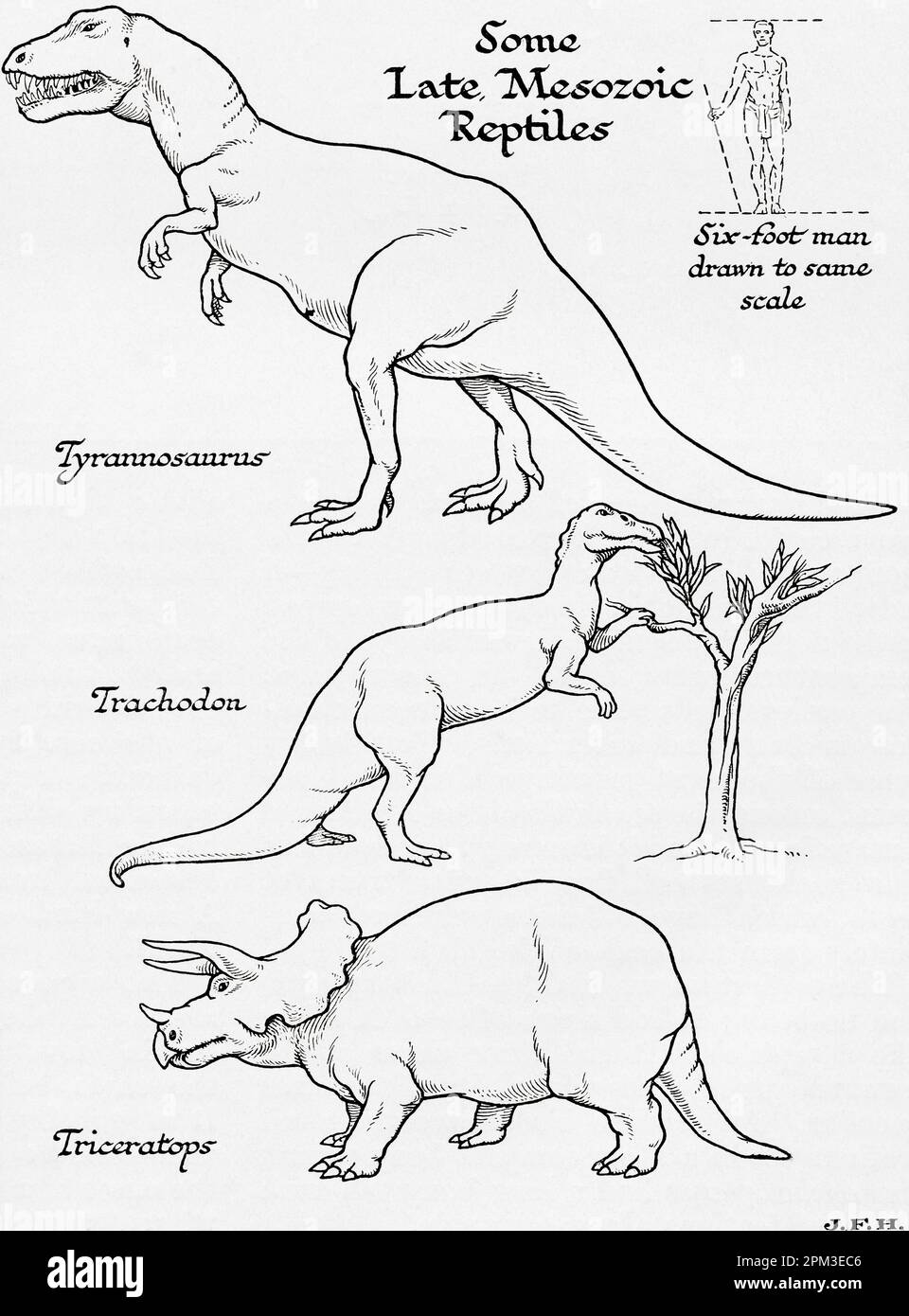 Reptilien aus der späten Mesozoik. Tyrannosaurus, Trachodon und Triceraptops. In der Abbildung ist ein 1,80 m großer Mann dargestellt, der auf die gleiche Skala wie andere Figuren gezeichnet ist. Aus dem Buch Outline of History von H.G. Wells, veröffentlicht 1920. Stockfoto