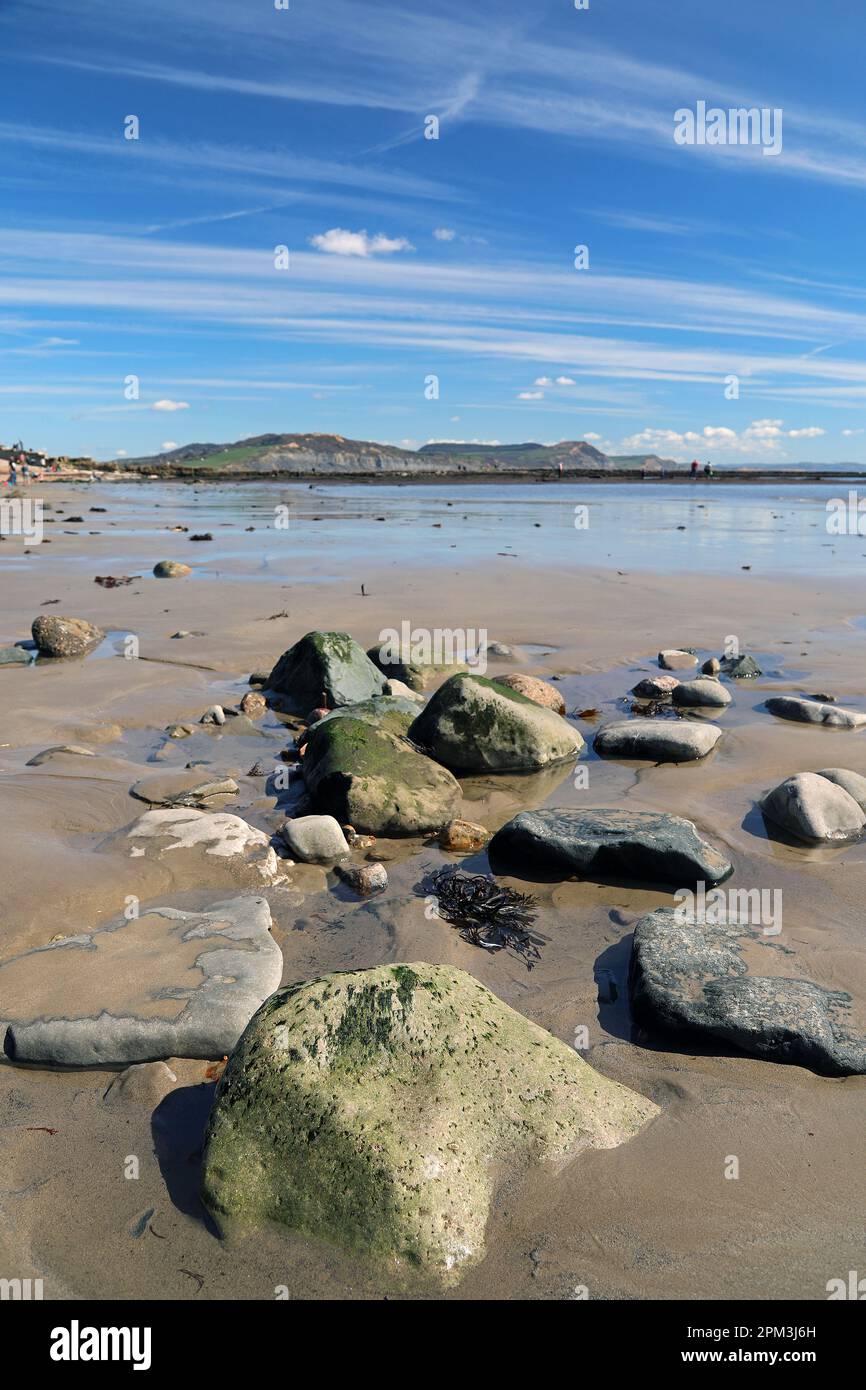 Lyme Regis, Dorset Stockfoto