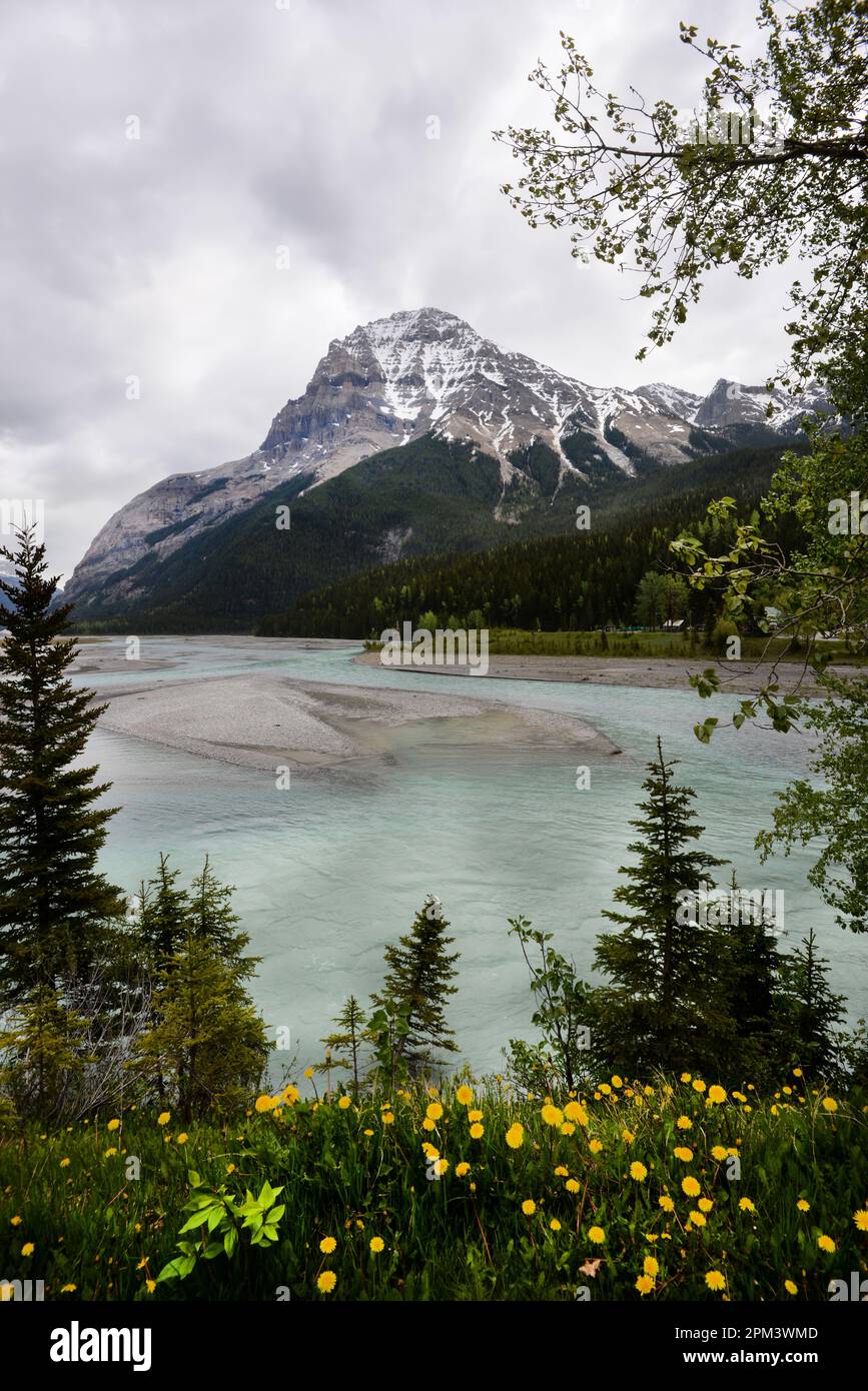 Wunderschöne Berge in Banf Stockfoto