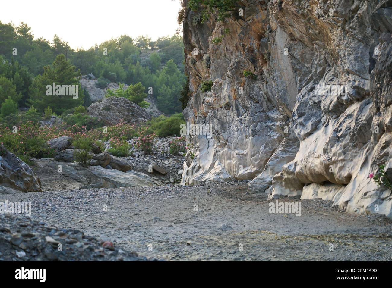 Schlucht auf Rhodos Griechische Insel Trockenfluss im Sommer Schlucht in Rhodos Griechenland Insel mit trockenen Fluss im Sommer Landschaft Landschaft Stockfoto