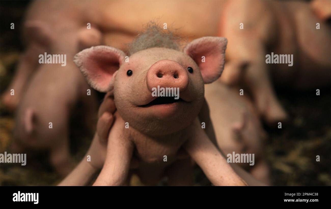 Oink Stockfoto