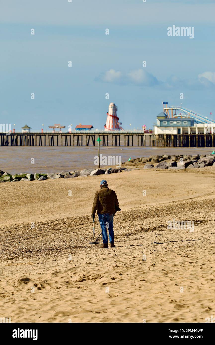 Metalldetektorist, der den Strand in Clacton auf See durchsucht, Stockfoto