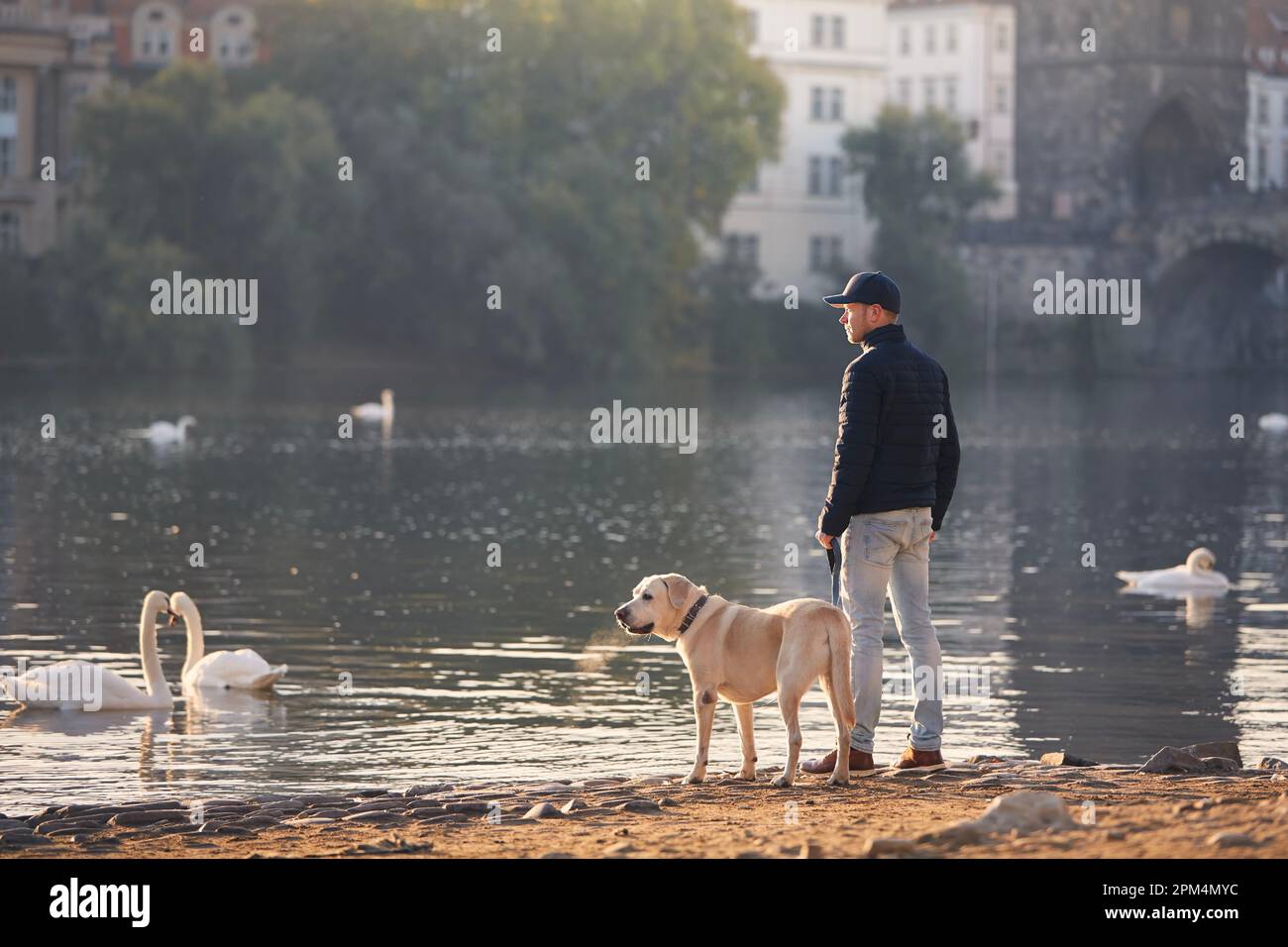 Rückansicht eines Mannes mit Hund an der Leine während eines Morgenspaziergangs in der Stadt. Tierbesitzer und sein labrador Retriever am Flussufer der Moldau in der Prager Innenstadt. Stockfoto